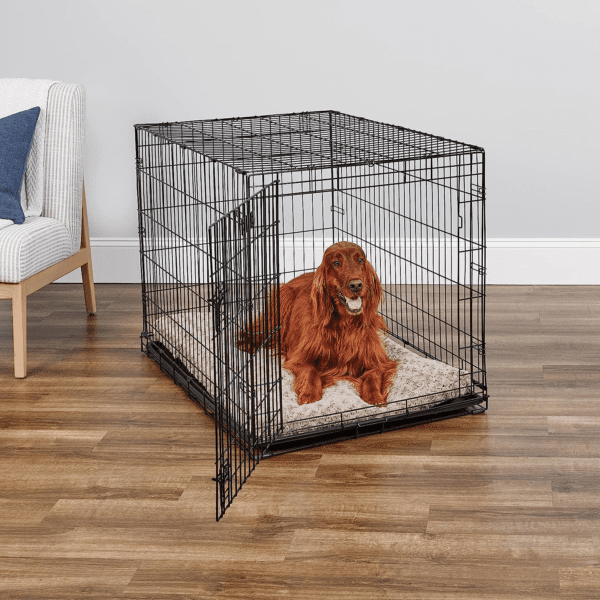 Midwest Homes for Pets Newly Enhanced Single Door Icrate Dog Crate, Includes Leak-Proof Pan, Floor Protecting Feet, Divider Panel & New Patented Features - Image 2