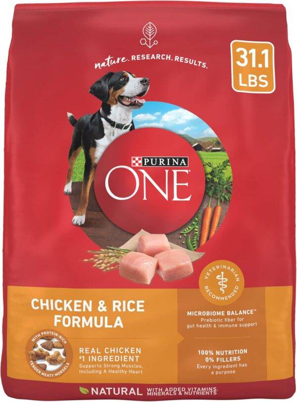 Purina ONE Chicken and Rice Formula Dry Dog Food - 31.1 Lb. Bag