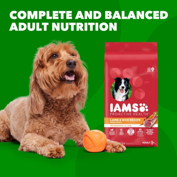 IAMS Minichunks Adult Dry Dog Food Lamb & Rice Recipe Dog Kibble, 30 Lb. Bag - Image 11