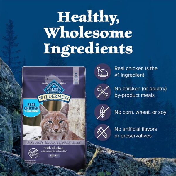 Blue Buffalo Wilderness Natural Adult Dry Cat Food, High-Protein and Grain-Free Diet, Supports Healthy Muscle Development and a Healthy Immune System, Chicken, 12-Lb. Bag - Image 7