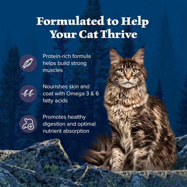 Blue Buffalo Wilderness Natural Adult Dry Cat Food, High-Protein and Grain-Free Diet, Supports Healthy Muscle Development and a Healthy Immune System, Chicken, 12-Lb. Bag - Image 5