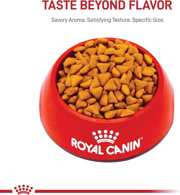 Royal Canin Indoor Adult Dry Cat Food, 15 lb bag  Dry Pet Food : Pet Supplies - Image 11